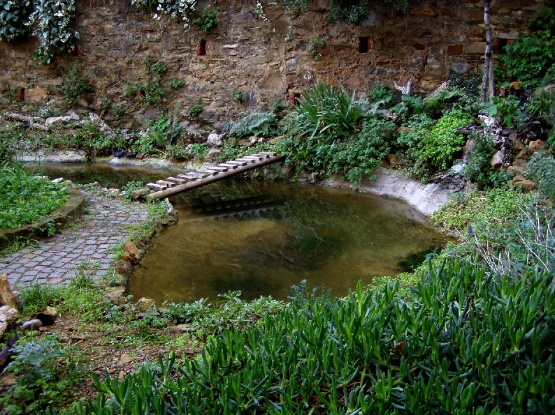 Il Laghetto del Centro di Entomologia - Piombino (LI)